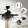 Caselli 36'' Ceiling Fan with Light Kit
