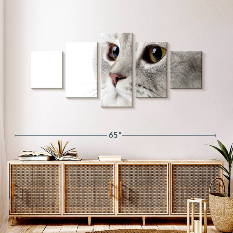 Chat gris moelleux, H 24 po x l 55 po