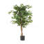 Ficus artificiel-384955094