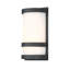 Latitude 1-Light LED Outdoor Sconce-88575506-88575501-29450124