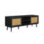 Noemi Rattan TV Unit For Tv's up to 58" - 140CM Width With Storage - TV Stand-129067796