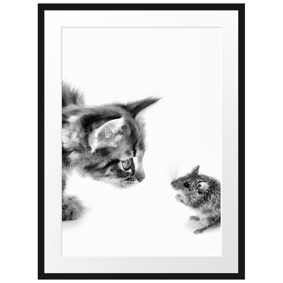 Gerahmtes Fotoposter "Katze und Maus Freunde