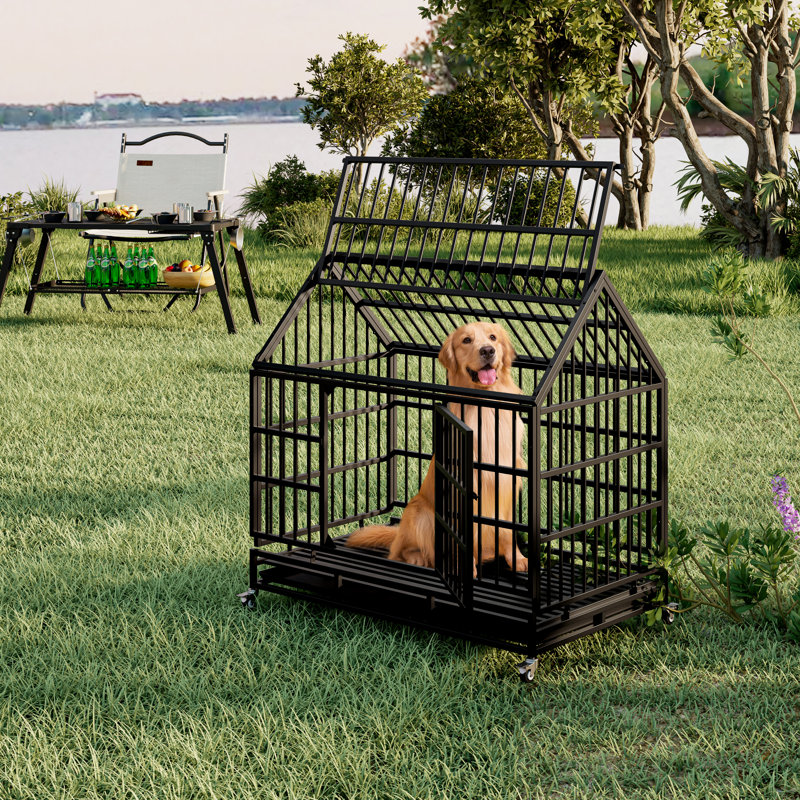 Cage pour chien L 48,8 po x l 30,7 po H noir