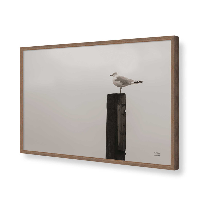 «Regarder la pluie tomber» par Nathan Larson, reproduction d'art, H 12 po x l 18 po, Brun