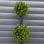 Faux Topiary in Pot Liner-112376041