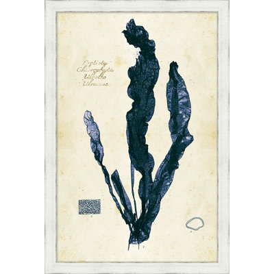Indigo Sea Grass II Print