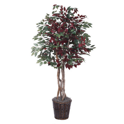 72'' Faux Plant in Wicker/Rattan Basket