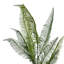 Artificial Foliage Stems Multipack 100cm Faux Fern Plant