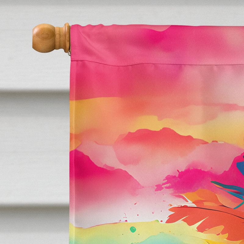 Drapeau de maison de perroquet hippie