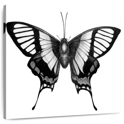 Crowle Butterfly Wings