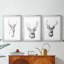Young Buck S croquis I - reproduction sur mesure encadrée de qualité supérieure - 3 pièces-1413041672-1413041685