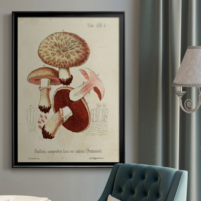 Mushroom Variétés II - reproduction d'art sur toile encadrée