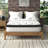 Wayfair Sleep 14" Firm Hybrid Mattress-93784105-20292872