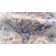Cassina Oriental Area Rug