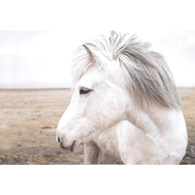Horse In Field 1 Piece Wrapped Canvas Wall Art