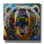 Toile épique «Bear» par Pierre Gavidia, épopée, 26 po x 26 po-1493723552