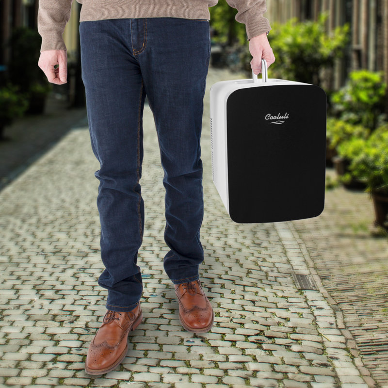 Compact Black Portable Mini Fridge with Smooth Door