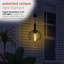 Luminaire suspendu d'extérieur 10 po