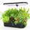 12-Pod Indoor Hydroponic Garden with LED Light – Perfect Gift