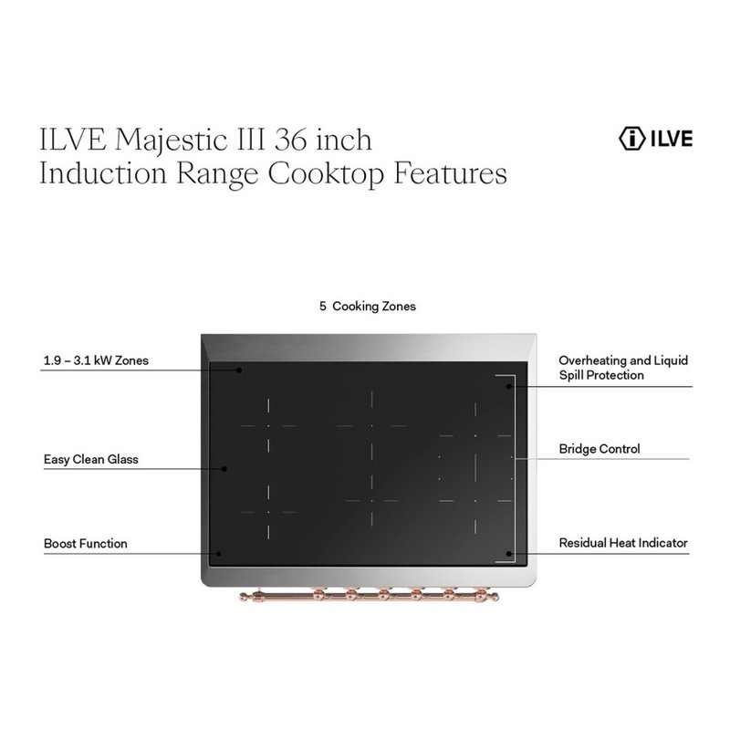 Majestic III Series 36 Inch Induction Range with 6 Induction Elements in RAL (Burnished Trim), Burnished