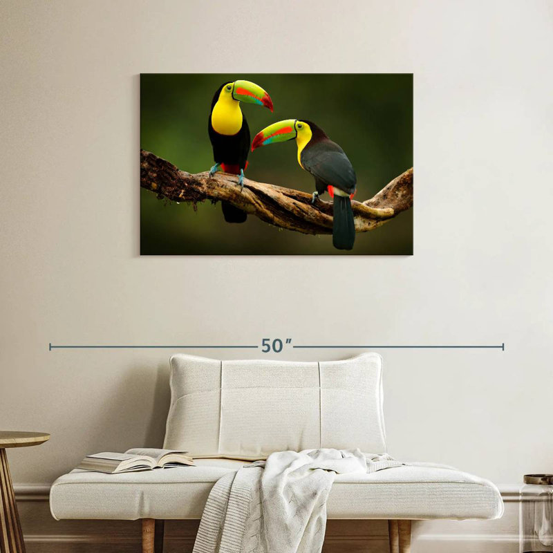 Brampt Toucans On Branch, 24" H x 36" W
