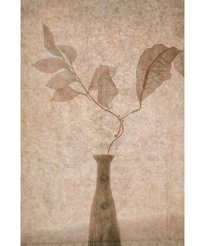 Wrapped Canvas Print, 76.2cm H x 50.8cm W