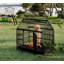 Cage pliante en métal pour grand et moyen chien, cage avec toit pointu et plateau amovible