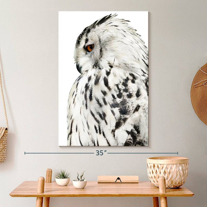 Hibou blanc sur toile, 20" H x 30" W x 1.25" D