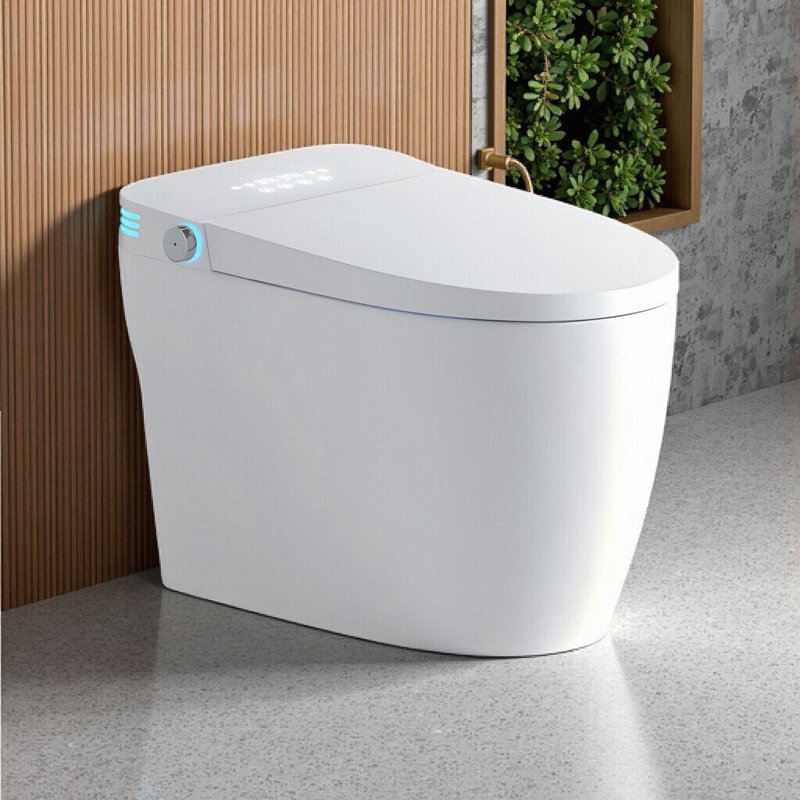 Toilette intelligente une pièce avec chasse d'eau, siège chauffant et télécommande Smart