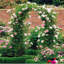 Treillis d'arche de jardin en métal, treillis réglable pour support de plantes grimpantes-1329864786-1329864788
