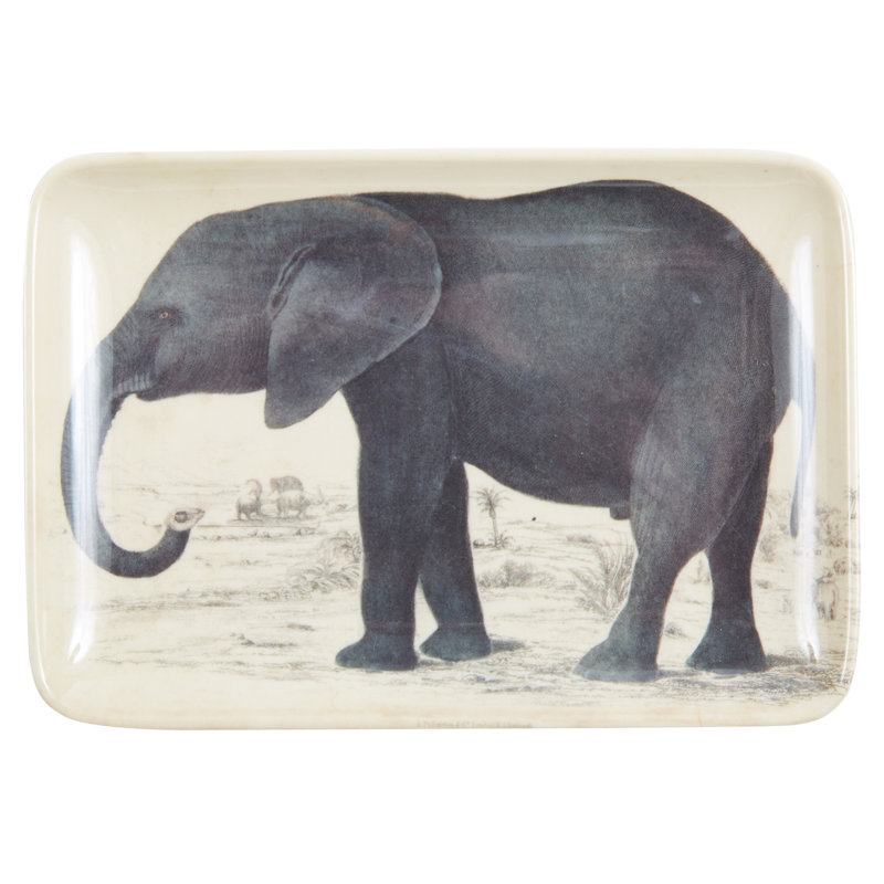 PLATEAU PACHYDERM