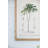 S/2 Tree Framed Print