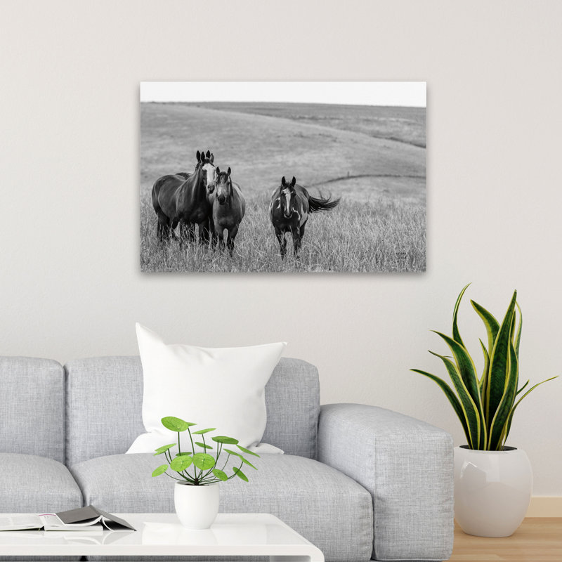 Contemporary Montana Moves Crop, 36" H x 24" W