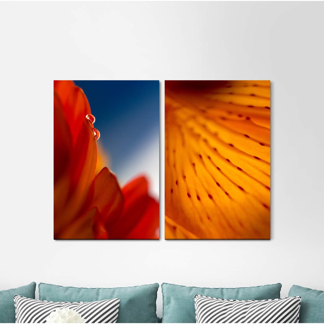 2-tlg. Leinwandbilder-Set - Fotografie „Blossoms Red Flower Water Drops Orange Warm Summer”