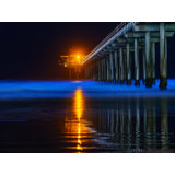 Bioluminescence At Scripps Pier, La Jolla Print by Brian Mc Clean