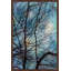 Judy Stalus - Single Picture Frame Print-20708684