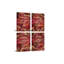 4 Piece Wrapped Canvas Print-1151622405