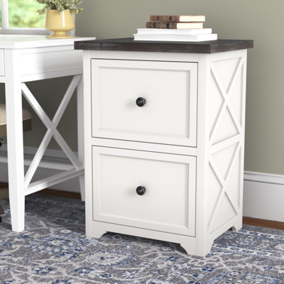 Leigh Woods 20.5 " Wide 2 Vertical Filing Cabinet