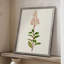 Mauve Garden Flowers II, reproduction encadrée - bois massif-1091045944