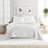 Lightweight Striped Foliage Coastal Reversible Quilt Set-423328564