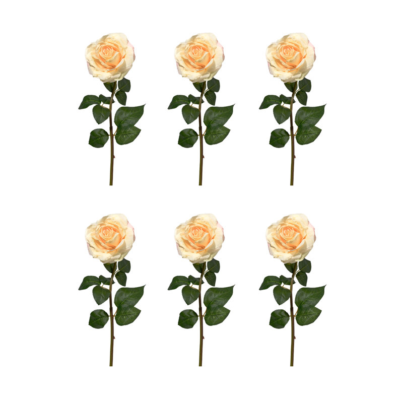 Arrangement de roses