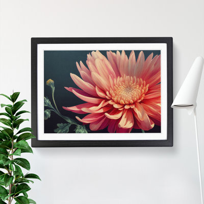 Timeless Chrysanthemum Flower - Single Picture Frame Print