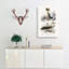 Rock Penguin And Albatross by Charles D Orbigny - Wrapped Canvas-55324112