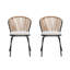 Besian Rattan Dining Chair Set