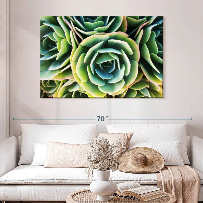 Rose succulente Harnek, H 32 po x l 48 po