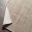 Area Rug-1931635771-1902150326