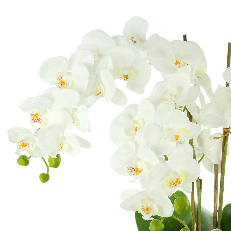 Arrangement floral orchidée dans un vase
