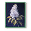 Série FLORAL CLxxix - reproduction encadrée de qualité supérieure - prête à être accrochée - aucun clou requis-546716326-546716322
