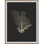 Deep Calm 4 Print-2023805965