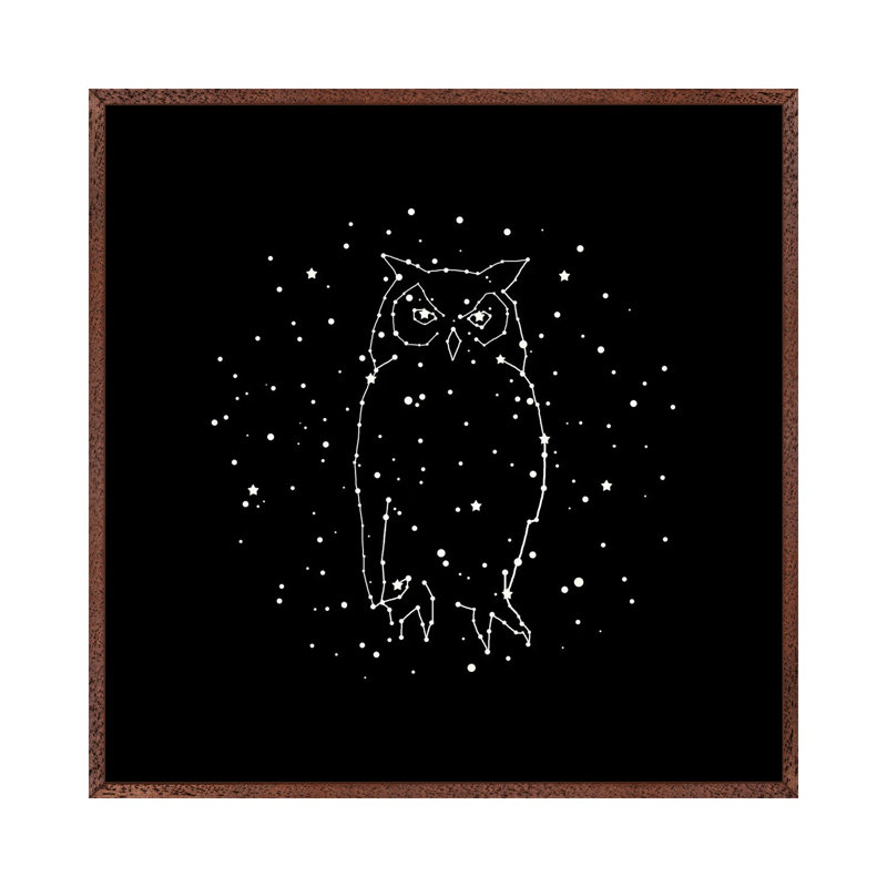 Owl Constellation 1 Piece Wall Art on Canvas, 45.72 cm H x 45.72 cm W, Classic Wood Framed